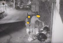 Fuscaldo, incivili “Immortalati” dalle foto Trappola, fioccano le sanzioni