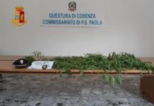 Paola, arrestato con 5 chili di Marijuana