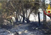 Rogo vicino alle abitazioni, fermato presunto piromane