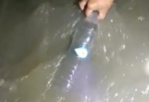 “Torremezzo di Falconara Albanese nel degrado più totale”