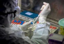 Paola, nuovo caso di positività al coronavirus