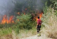 Paola. Vasto incendio in località San Micieli