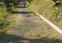 Amantea, operai al lavoro per la pulizia della pista ciclabile