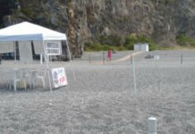 San Nicola Arcella-Area demaniale: fatti allontanare alcuni turisti.
