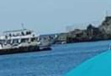 Praia a Mare, Minacciato l’habitat delle Grotte dell’Isola Dino e la sicurezza dei bagnanti