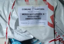 Tortora, Blitz della Polizia Municipale, centinaia di sequestri