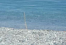 Paola “Spiagge sicure” Nuovi mezzi a disposizione della Polizia Municipale