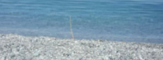 inCollage_20200821_111304811