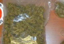 Nascondeva droga sotto il giubbino: la Polizia arresta una donna