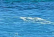 Balneazione e depurazione “Un problema Grave”