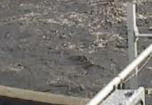 Depuratore e sversamento Reflui, il sindaco di Fuscaldo si rivolge alla Procura di Paola