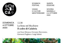 Il cedro della Riviera dei Cedri protagonista al festival Sciabaca
