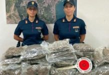 Sequestrati 20 chili di Marijuana in Calabria
