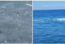 “Ridateci il nostro mare, è tempo di muoverci”