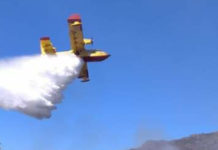 Tortora, incendio in zona Rosaneto