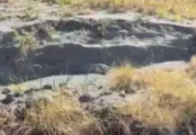 San Nicola Arcella, Italia Nostra “Che sia ultimo anno”