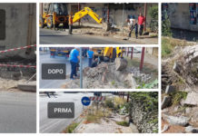 Amantea, ss18, alberi e marciapiedi, il plauso di Lazzaroli ai lavoratori in mobilità