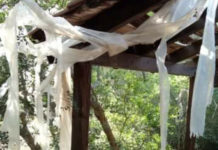 Rimozione rifiuti dall’Isola Dino: Una vicenda che dura da 9 anni