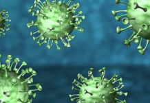 Coronavirus, il bollettino della regione Calabria