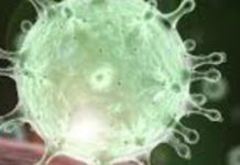 Coronavirus, salgono i casi, il bollettino della regione Calabria