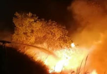San Nicola Arcella, vasto incendio nella notte, paura per i residenti