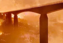 “Non basta dire stop incendi, qualcuno faccia qualcosa”