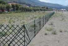 Praia a Mare, Viene aumentata l’area protetta dei Gigli di Mare