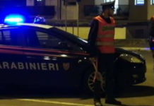Ruba in appartamento sul Tirreno Cosentino, arrestato cittadino rumeno