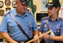 Tentato omicidio in Provincia Di Cosenza
