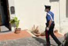 Belvedere, avv. Greco “tentano di infangare la memoria di Aneliya Dimova”