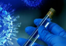 Covid19, a Santa Maria Del Cedro quattro casi, a Cetraro tre