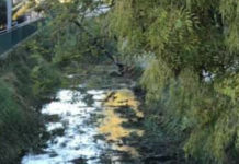 Scalea, l’assessore Manco invita al rispetto dell’ordinanza commissariale