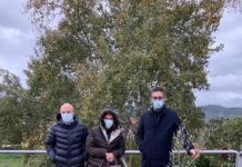 Giornata Nazionale degli alberi “Avanti Mendicino” dona alla comunità piante di ulivo