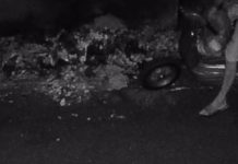 Paola, gli sporcaccioni “immortalati” dalle telecamere finiscono sul Web