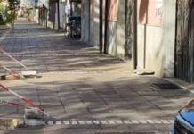 Praia a Mare, alberi piantati senza logica, incalza la minoranza