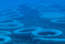 Ambiente, Caduta nel vuoto la richiesta di Italia Nostra al Comune di Praia a Mare