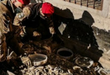 17 chili di Cocaina: Due arresti