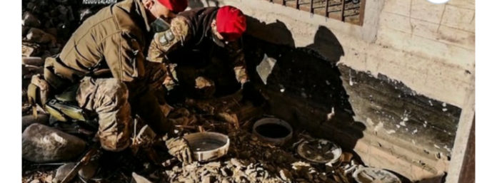 inCollage_20201129_104502161