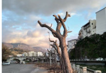 “Fermate questo scempio a Diamante”