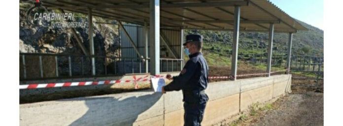 inCollage_20201201_174601219