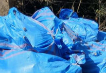 Rifiuti e degrado sulla strada, Santa Domenica Talao-Scalea