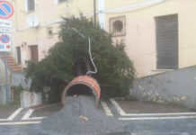 TORTORA. IL MALTEMPO “ABBATTE” L’ALBERO DI NATALE IN PIAZZA PIO XII