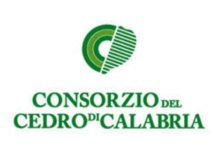 Consorzio del Cedro di Calabria: per gli agricoltori “costi tanti, benefici zero. Intervenga la Regione”