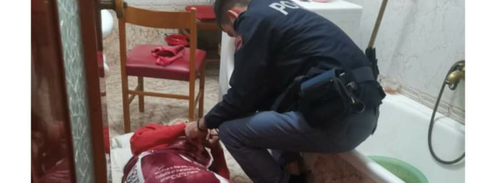 inCollage_20201216_163831200