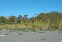 Praia a Mare, Imbarcazioni tutte rimosse: il plauso di Italia Nostra