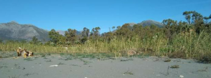 inCollage_20201216_175157608