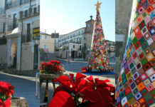 A Roggiano Gravina, ecco l’albero di tutti