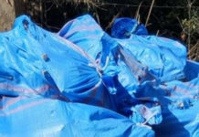 Amianto lungo la strada Scalea-Santa Domenica Talao