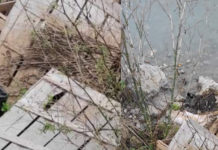 Tortora, ancora rifiuti nel fiume Noce