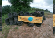 Legambiente “Meno reati e meno abbandoni nel 2020 nelle serre cosentine”